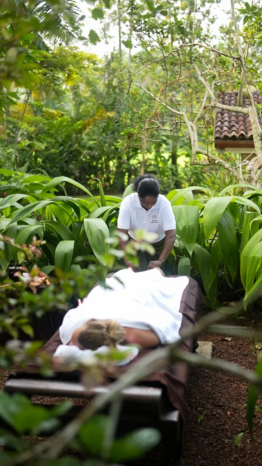 The Treatment — Medusa Bungalow