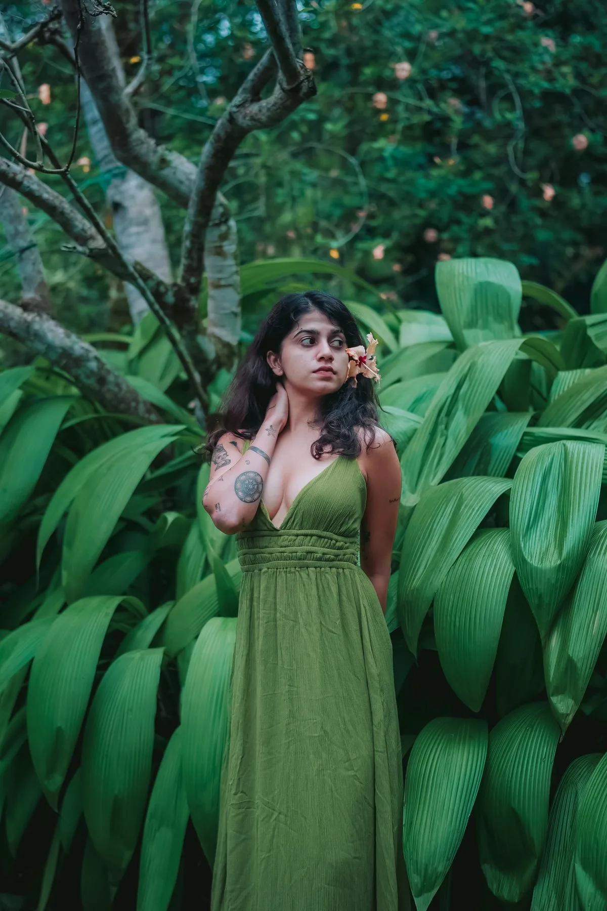 First Light — Medusa Bungalow