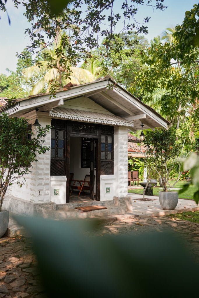 The garden at Medusa Bungalow
